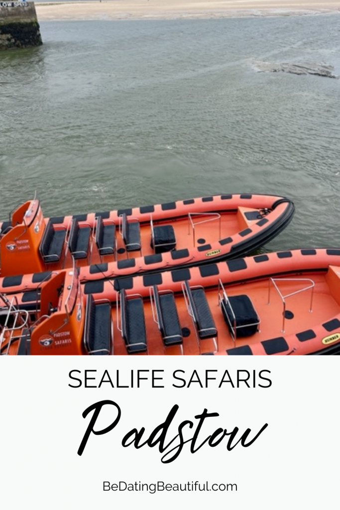 Sealife Safaris, Padstow